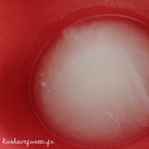 le petit lait de soja runhavefunetc 01 2016