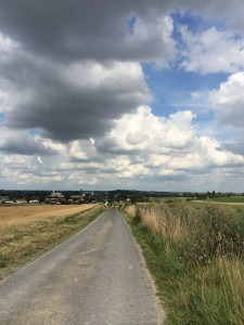 14 08 2014 Terrain de jeu du jour... 