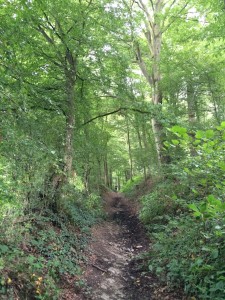 18 08 2014 ça monte, c'est boueux, c'est bon!