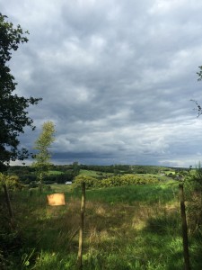 18 08 2014 Le paysage en récompense!