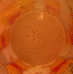 Levain frais, formation de bulles, fermentation 23 08 2014