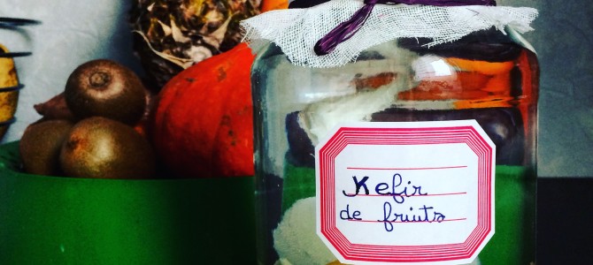 My KEFIR de fruits